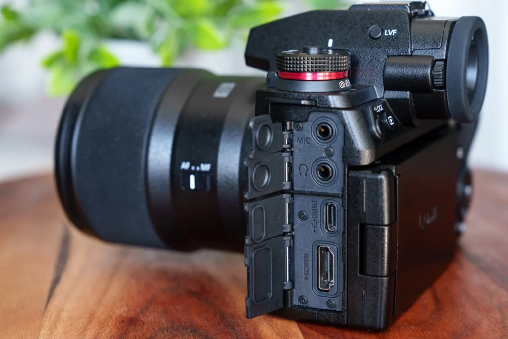 Panasonic Lumix S1Rii-21-1536x1024